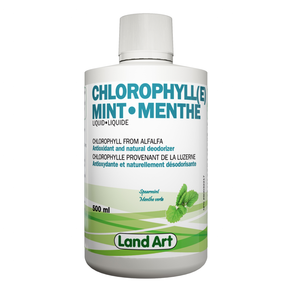 Chlorophyll Mint